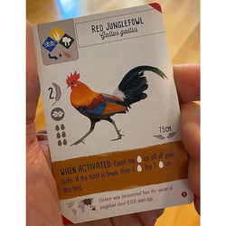 Wingspan: Asia Expansion [Board Games]