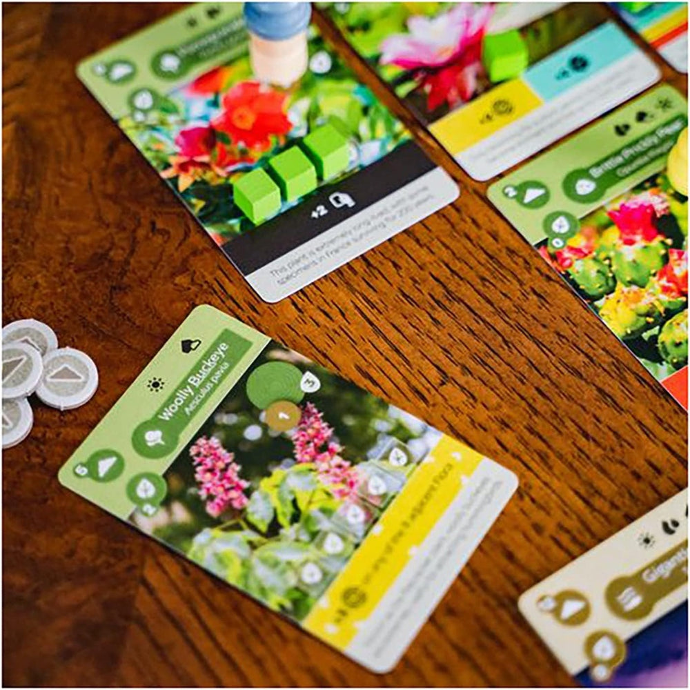 Earth by Inside Up Games [Board Game]