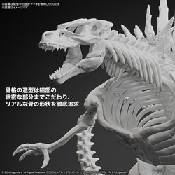 Bandai Spirits Godzilla (2024) from Godzilla x Kong: The New Empire - Model Kits